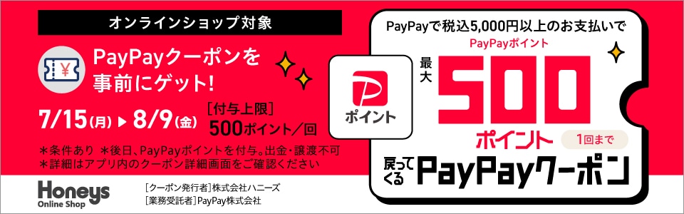 paypayN[|Ly[